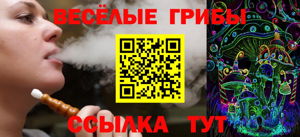Галлюциногенные грибы Psilocybe Белово
