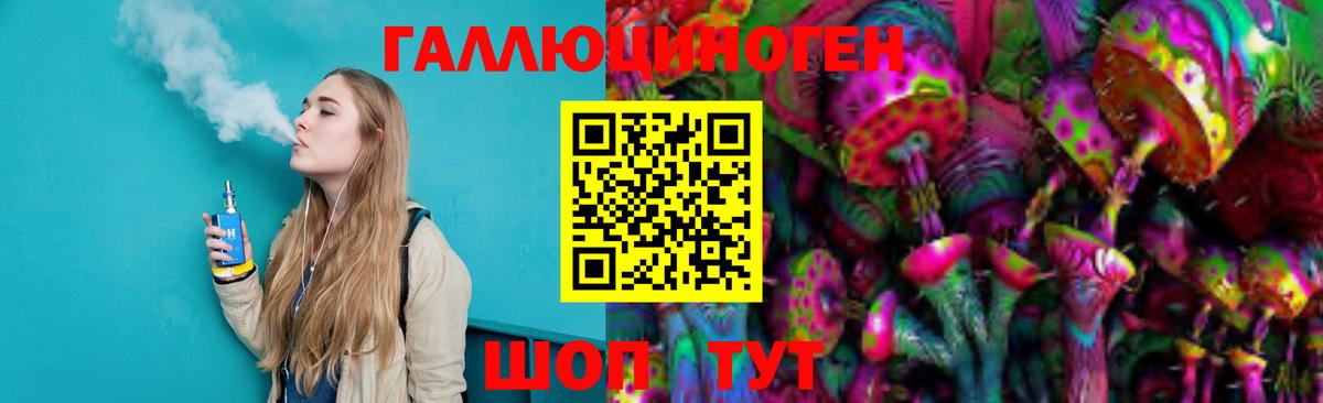 Белово  Галлюциногенные грибы Psilocybine cubensis  Вход с VPN 